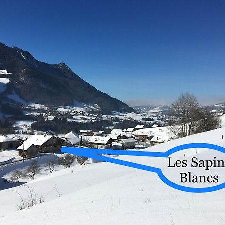 Les Sapins Blancs Apartment Vacheresse Exterior photo